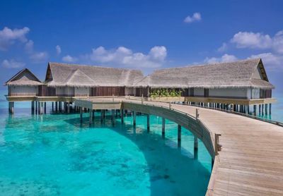 攜程上線近700條出境團隊游產品，熱點目的地分析與行業展望